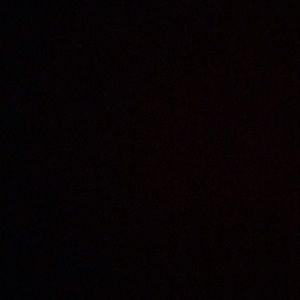 Meet your Posher, Dora-may